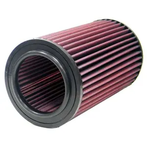 K&N vervangingsfilter Nissan Terrano 2.7L Diesel / 1996-2004 (E-9251) pas cher