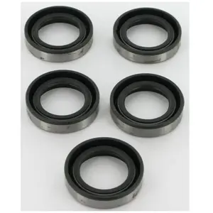 Joints spi Briggs et Stratton - 4118 pas cher