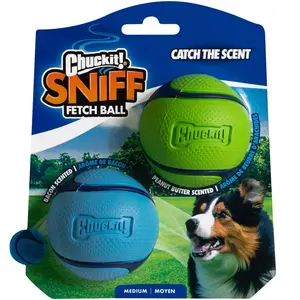 Comparateur de prix : CHUCKIT! Sniff Fetch Ball Duo