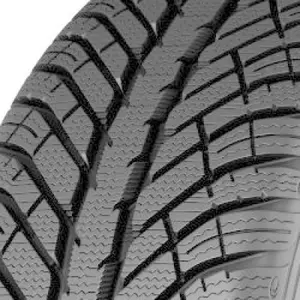 Avon WX7 Winter 225/50 R17 98V pas cher