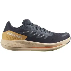Chaussures de Running Salomon Spectur W pas cher