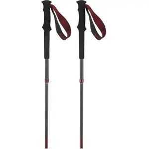 Salomon Bâtons Quest Carbon Foldable pas cher