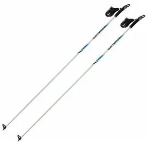 Salomon Bâtons R 20 pas cher