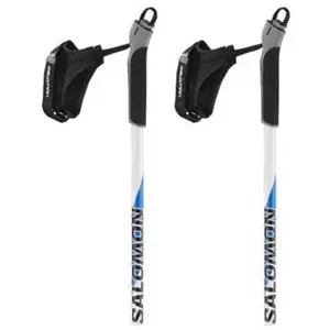 Salomon Bâtons R 20 pas cher