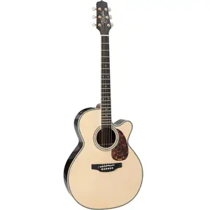 Takamine RNV460C elektrisch-akoestische westerngitaar met soft-case pas cher
