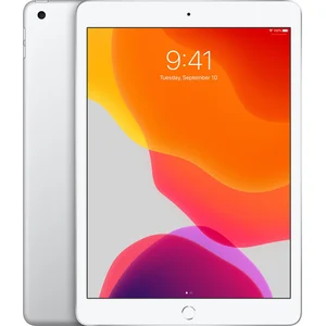 Apple iPad (2019) - 10.2 inch - WiFi - 128GB - Zilver pas cher