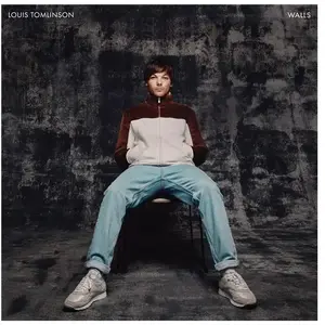 Comparateur de prix : SYCO MUSIC Walls