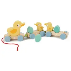 Tender Toys Trekfiguur Eendjes Afneembaar Junior