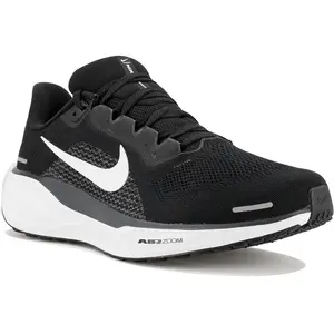 Chaussures de running Nike Pegasus 41 Gris 41