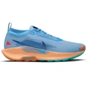 Chaussures de trail Nike Pegasus 5 Gore-Tex Bleu 40 pas cher
