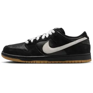 Chaussures Nike  Dunk Low Pro Noir