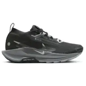 Chaussures de trail femme Nike Pegasus 5 Gore-tex Noir 36,5 pas cher