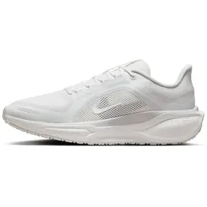 Chaussures de running Nike Pegasus 41 Gore-Tex Blanc 42