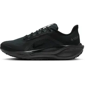 Nike Pegasus 41 GORE-TEX Homme - Noir, Noir 47.5 pas cher