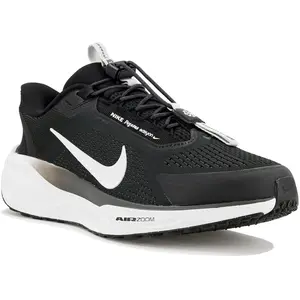 Comparateur de prix : Chaussures de running Nike Pegasus EasyOn Noir 41
