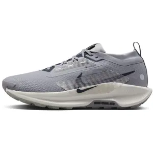 Nike Pegasus Trail 5 GORE-TEX Homme - Grey, Grey 42 pas cher
