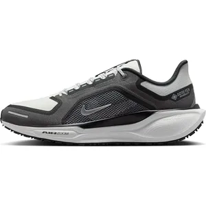 Chaussures de running Nike Pegasus 41 GORE-TEX Noir 49,5