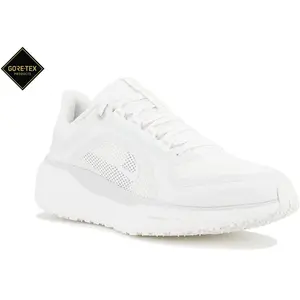Chaussures de running Nike Pegasus 41 Gore-Tex Blanc 44