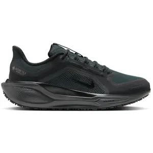 Comparateur de prix : Nike Pegasus 41 GORE-TEX Homme - Black, Black 45.5