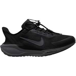 Comparateur de prix : Chaussures de running Nike Pegasus Easyon Noir 42