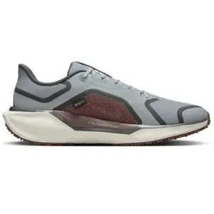 Nike Pegasus 41 GORE-TEX Homme - Grey, Grey 44Vendu paramazon