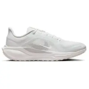 Chaussures de running Nike Pegasus 41 Gore-Tex Blanc 40,5