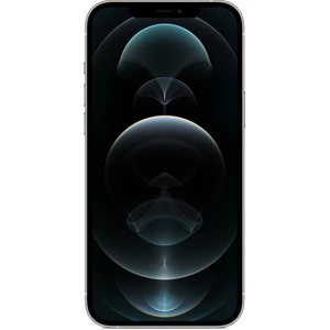Apple iPhone 12 Pro Max Argent 256 Go pas cher