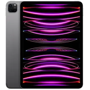 Apple Tablette Apple iPad Pro 16GB 1TB 11`` pas cher