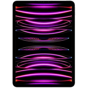 Apple Apple iPad Pro 11" Wi-Fi + Cellular 2022 512Go gris sidéral pas cher