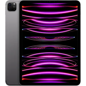 Apple Apple iPad Pro 12,9" Wi-Fi + Cellular 2022 256Go gris sidéral