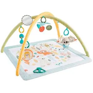 Comparateur de prix : Fisher-Price Fisher-Price Simply Senses Newborn Gym