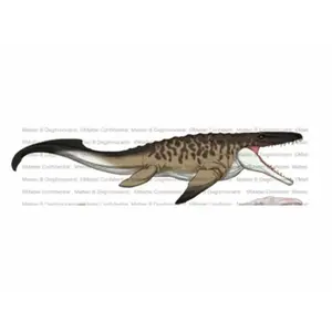 Comparateur de prix : Jurassic World Figurine De Dinosaure Mosasaure