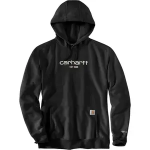 Carhartt Sweat à Capuche Force Logo Graphic Lightweight pas cher