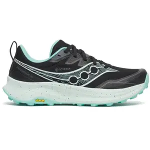 Saucony Peregrine 16 Gore-Tex https://tqm.i-run.be/?P4790B5819DB223S1UC413a49087576V4 Noir 40 pas cher