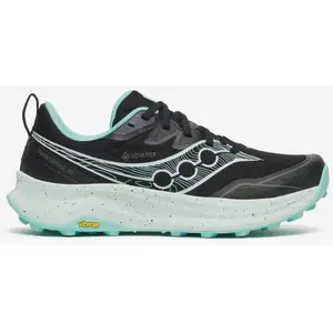 Saucony Peregrine 16 Gore-Tex https://tqm.i-run.be/?P4790B5819DB223S1UC413a49087577V4 Noir 40.5 pas cher