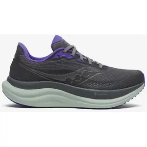 Saucony Triumph 23 Gore-Tex https://tqm.i-run.be/?P4790B5819DB223S1UC413a49038106V4 Gris/argent 38.5 pas cher