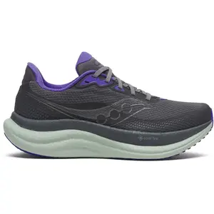 Saucony Triumph 23 Gore-Tex https://tqm.i-run.be/?P4790B5819DB223S1UC413a49038102V4 Gris/argent 36 pas cher