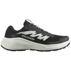 Salomon Chaussures De Trail Running Alphaglide pas cher
