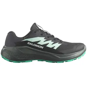 Salomon Chaussures De Trail Running Alphaglide Goretex pas cher