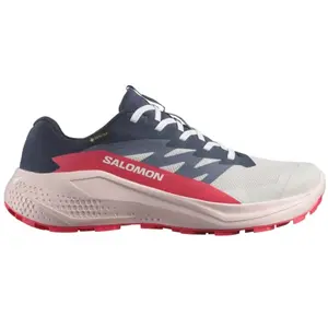 Salomon Chaussures De Trail Running Alphaglide Goretex pas cher