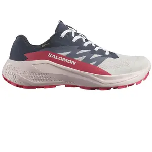 Salomon Chaussures De Trail Running Alphaglide Goretex pas cher