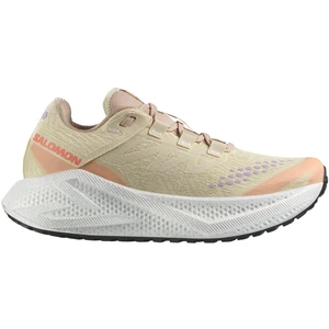 Salomon, Femmes, Chaussures de course à pied, Aero Glide 3 GRVL Frau Beige (40), Beige pas cher