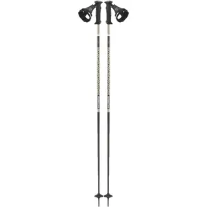 Salomon Bâton de ski Polar Prime Ergo S3 Bronze Metallic 115