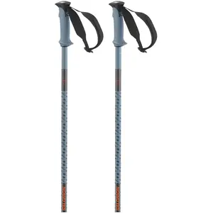 Salomon Bâtons Polar Pro pas cher