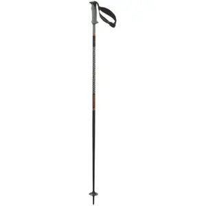 Salomon Bâtons Polar Pro S3