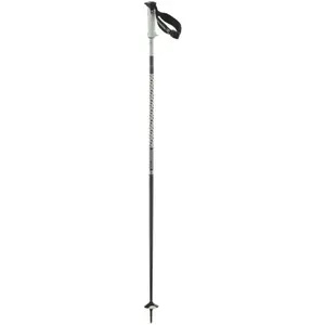Salomon Bâtons Polar Pro S3 pas cher