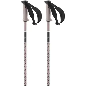 Salomon Bâtons Polar Pro pas cher