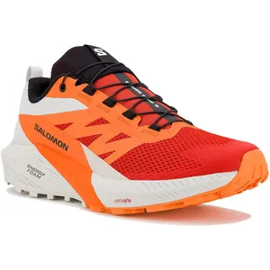 Salomon Salomon Sense Ride 5 M Chaussures Homme pas cher