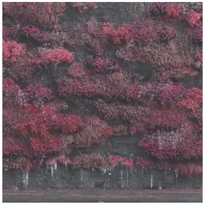 EVEN IN ARCADIA (GATE) (POST), Disque vinyle pas cher