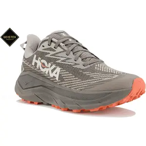 Hoka One One Challenger 8 Gore-Tex https://tqm.i-run.be/?P4790B5819DB223S1UD413a490118774V4 Gris/argent 40 pas cher